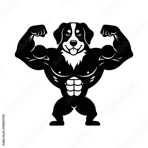 Bernese mountain dog flexing muscular body strong gym workout mascot silhouette vector illustration