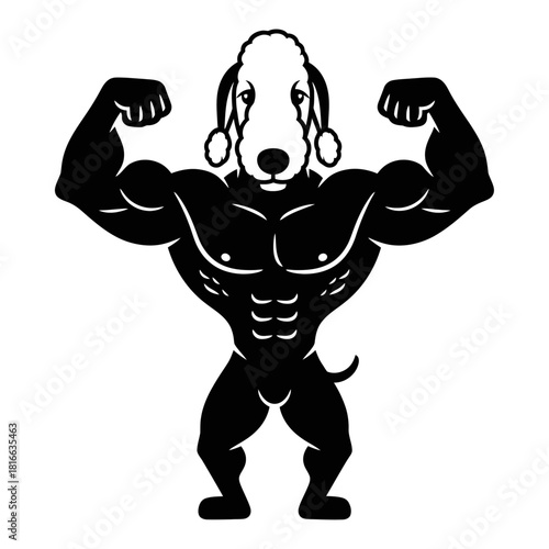 Muscular poodle dog flexing arms in strong athletic black silhouette vector bodybuilding design
