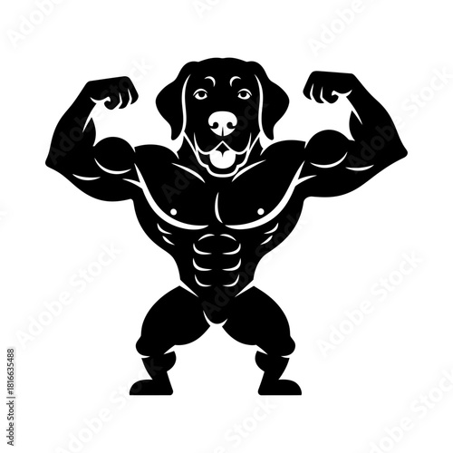 Powerful muscular retriever dog flexing arms in bold black silhouette vector gym bodybuilder pose