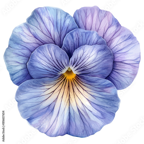 watercolor of Viola Flower, vector, isolated on a white background.