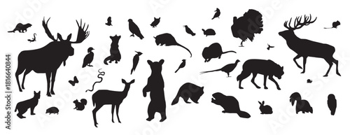 Forest Animal Silhouettes