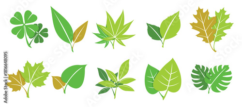 green hojas collection 