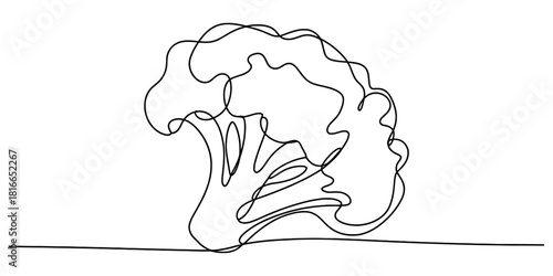 One line drawing of a fresh broccoli floret, minimalist continuous line art for healthy eating and vegetarian food concepts, isolated. Vector, illustration