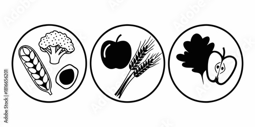 Three ovals containing different food groups including vegetables fruits and grains in black and white