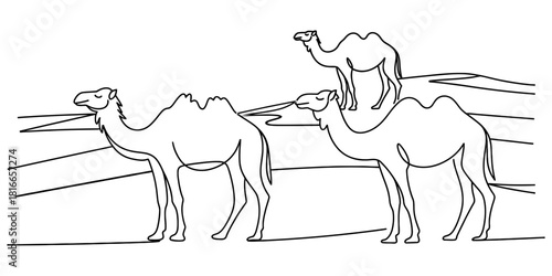 Outline drawing of three dromedary camels walking through a desert landscape, ideal for children's coloring activities or educational content Vector, illustration