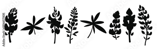 bluebonnet flower vectors 