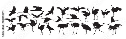 crane bird silhouette set