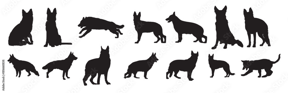 Fototapeta premium german shepherd silhouette set