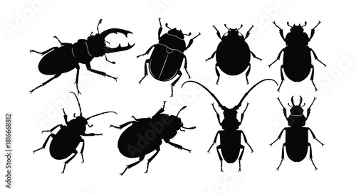 A collection of black silhouette beetles showcasing various species and forms