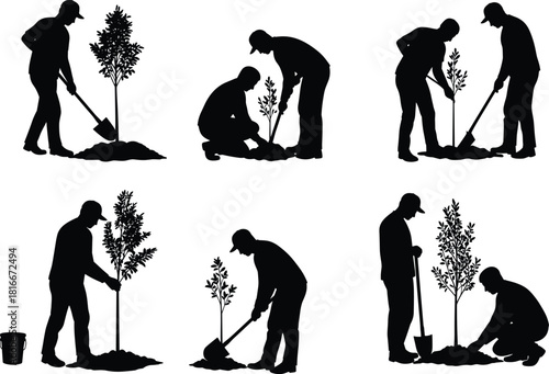 Silhouette workers planting young trees with shovel and soil preparation, environmental conservation teamwork concept for gardening and nature care scenes