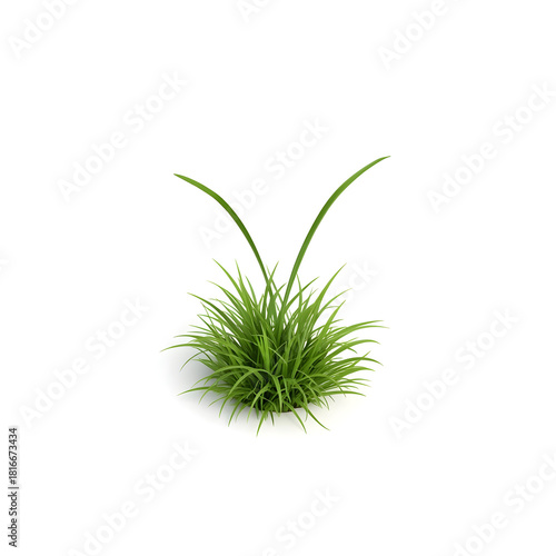Symmetrically arching 3D grass tuft rendering in vibrant emerald green, isolated on a stark white digital background