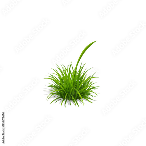 Vibrant green tuft of fresh grass with a prominent long blade, isolated on a clean white background