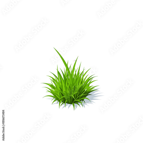 Isolated vibrant green grass tuft with sharp blades and soft shadow on pure white background