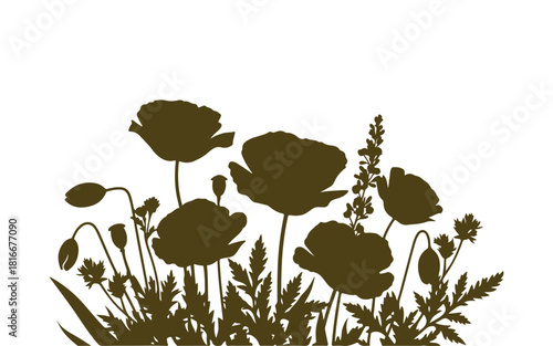 Spring card showcasing poppies
