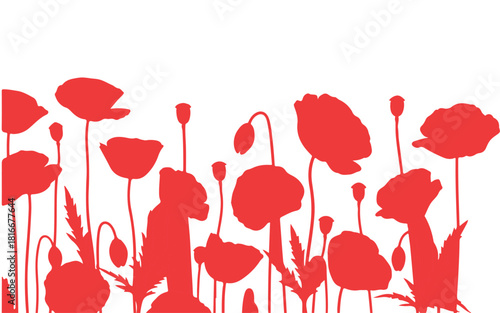 Spring card featuring poppies
