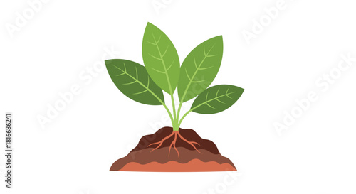 A young green plant with visible roots growing in rich brown soil.