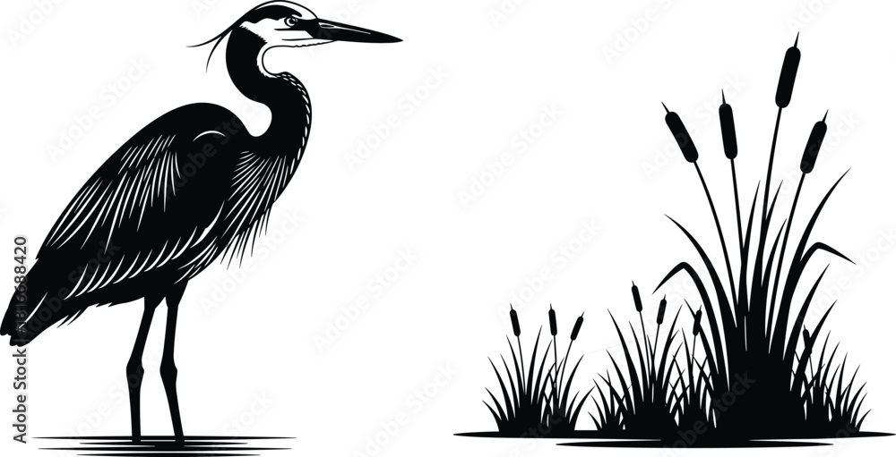 Obraz premium Black and white vector illustration of a great blue heron standing near marsh reeds and grass, isolated on a white background for design.
