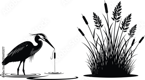 Black and white vector silhouette of a heron standing in water holding a fishing line, next to tall reeds, isolated on white background.