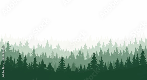 Minimal 2D flat vector illustration featuring atmospheric layers of dark evergreen conifer silhouettes emerging from thick misty fog on a stark white background.