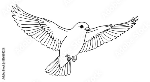 Line drawing of a bird with wings spread in flight design
