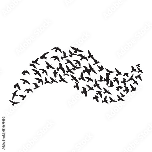 Large flock of black birds in a flowing, wave-like formation flying