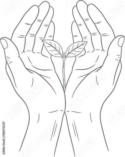 Delicate butterfly emerging from cupped hands illustration