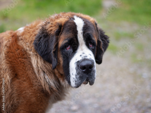 vmalisauskas@gmail.com