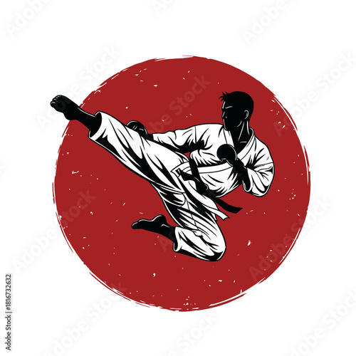 Dynamic karate master showcasing martial arts prowess in dramatic silhouette graphic style