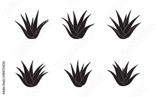 Aloe vera plant silhouettes arranged in a pattern on white background