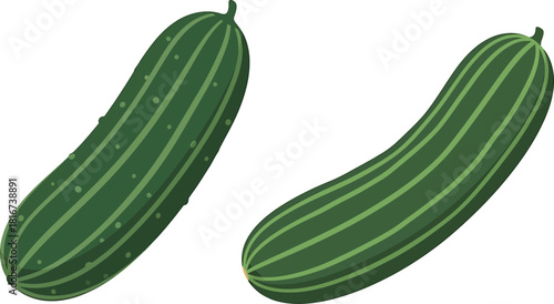 Two elongated green cucumbers with subtle texture isolated on transparent background 