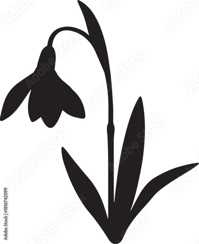 Elegant black silhouette of a single snowdrop flower with leaves isolated on transparent background