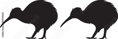 Two black kiwi bird silhouettes facing left and right isolated on transparent background