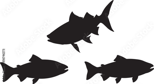 Three stylized black silhouettes of fish swimming in different directions isolated on transparent background silhouette