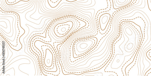 The golden on white contours topography stylized relief diagram line wave carve pattern background 
