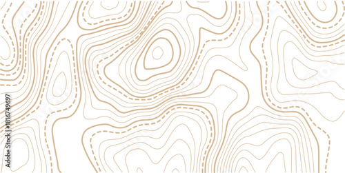 Topographic gold luxury map background. Geographic abstract pattern.paper texture Imitation of a geographical map shades.