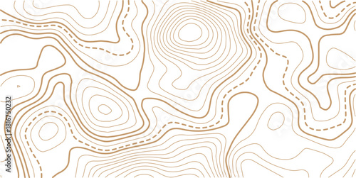 Abstract Topographic Pattern contour line map. Luxury gold abstract line art on transparent background image.Topography background. Vector banner. Topo.