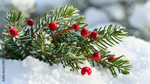 Evergreen foliage and scarlet berries adorn a pristine snowy landscape under radiant winter sunlight