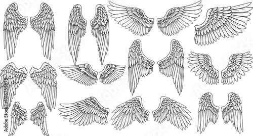 Angel wings vector set, various feathered designs, spiritual, divine, heaven, freedom, flight, mythology, fantasy, tattoo, graphic, illustration, black and white, outline, creative, elegant.