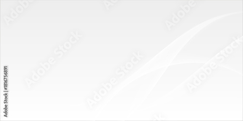 abstract white background with smooth decorative swirl lines flowing