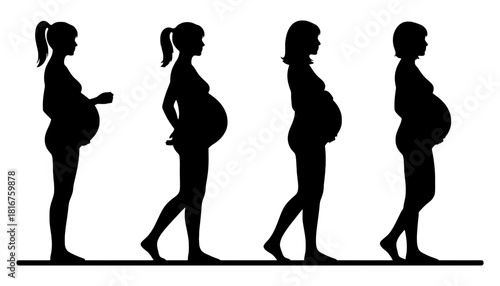 Pregnancy stages silhouette pregnant woman trimester growth