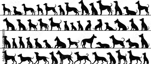 Dog silhouette collection, various canine poses including sitting, standing, walking, playful pet outlines, vector animal design set for projects