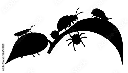 Black silhouette of insects and spider on leaf vector design