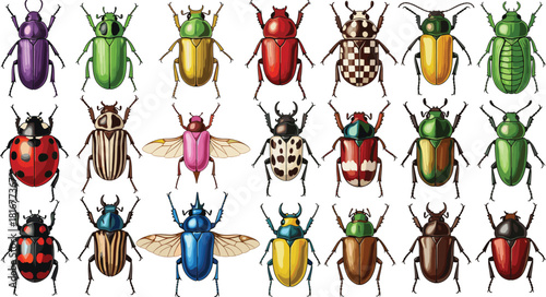 Large collection of diverse and colorful beetle insects, symbolizing entomology, biodiversity, nature, pests, bug study, and macro wildlife vector illustration set