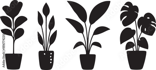 Plants in rendering Beautiful plant outline silhouette vector