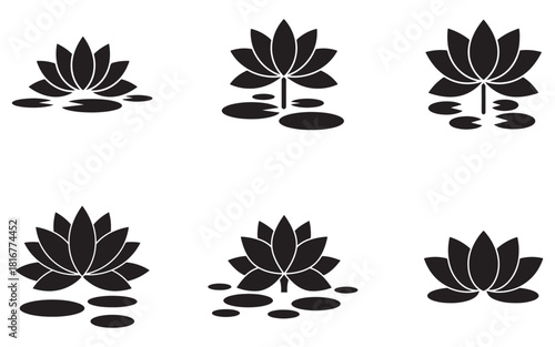 Elegant black lotus flower collection in full bloom on lilypads