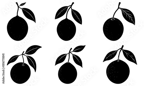Fresh citrus fruit with leaves, a simple black silhouette for natural designs, healthy eating projects, and vibrant summer promotions or organic food concepts