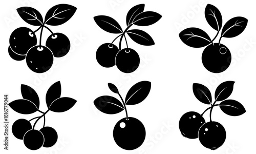 Elegant silhouette of ripe blueberries with leaves, perfect for natural food branding, organic product designs, or healthy lifestyle promotions