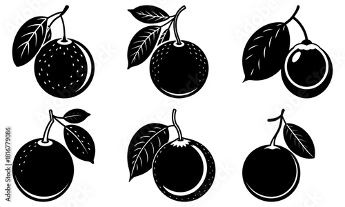 Fresh citrus fruit collection with leaves, a healthy food concept, organic agriculture for vitamin C boost, design elements for juice and natural products