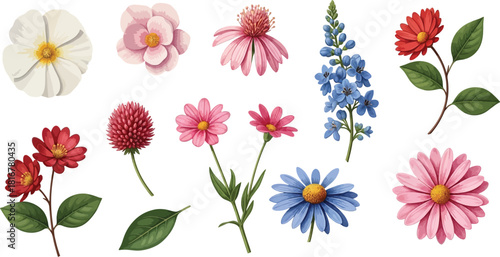 Vibrant watercolor floral collection featuring various blooming flowers, isolated botanical elements, and diverse spring blossoms, perfect for design projects and natural themes.