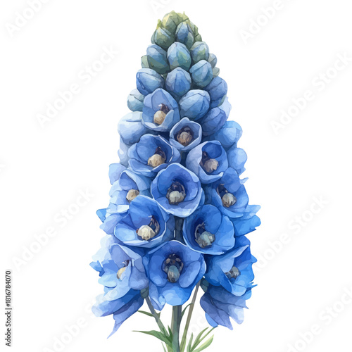 Delphinium Flower, colorful watercolor painting with bold outlines, isolated on a white background.